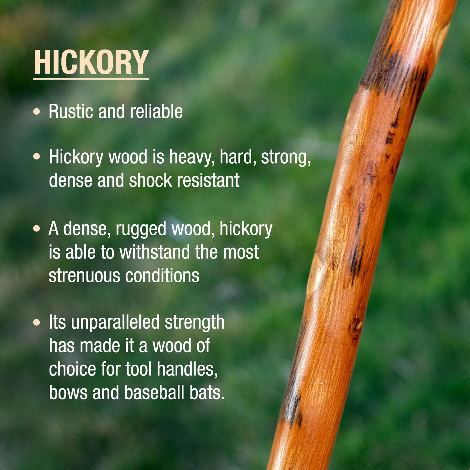 Safari Hickory Rustic Walking Stick 55"