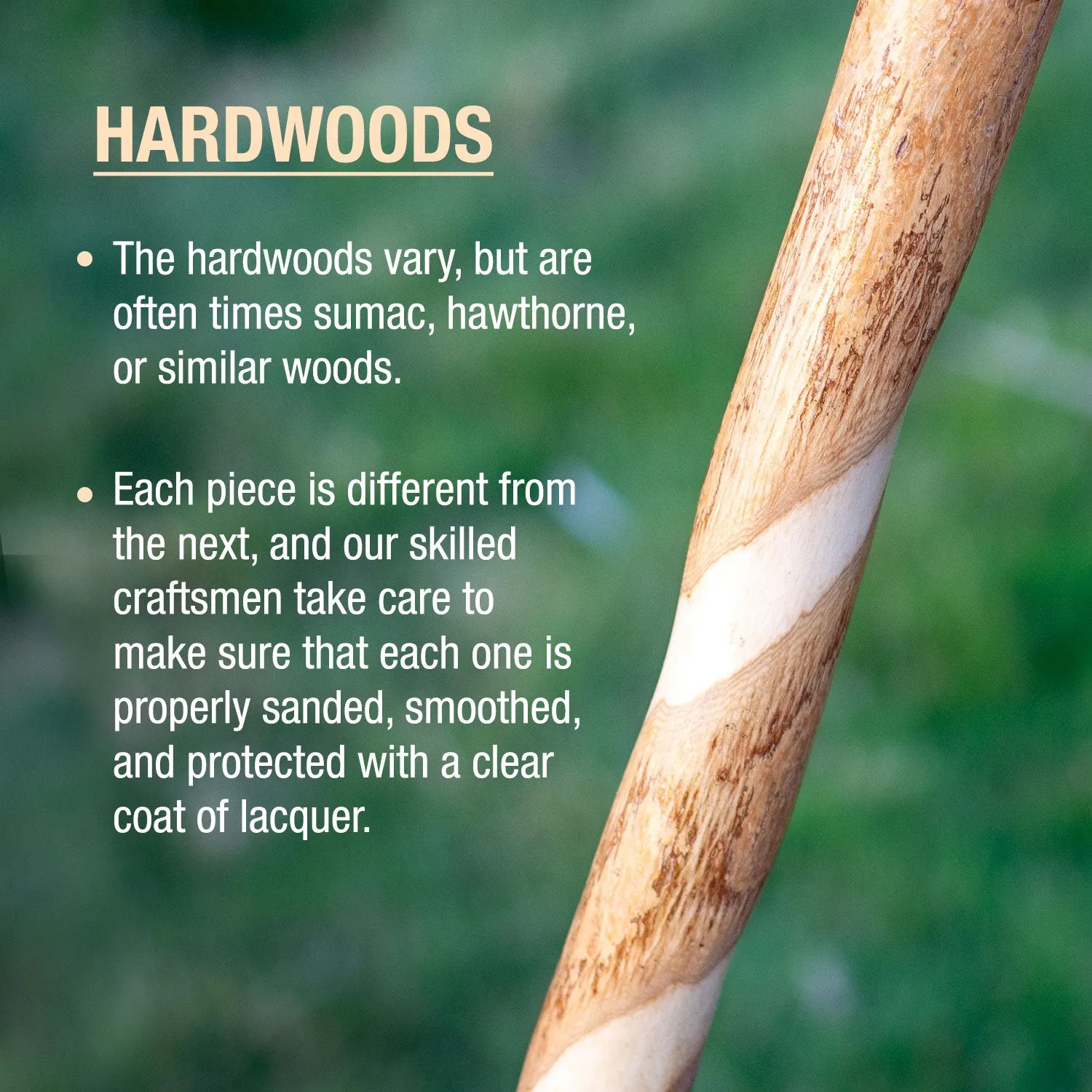 Twisted Assorted Hardwood Rustic Walking Stick 55"