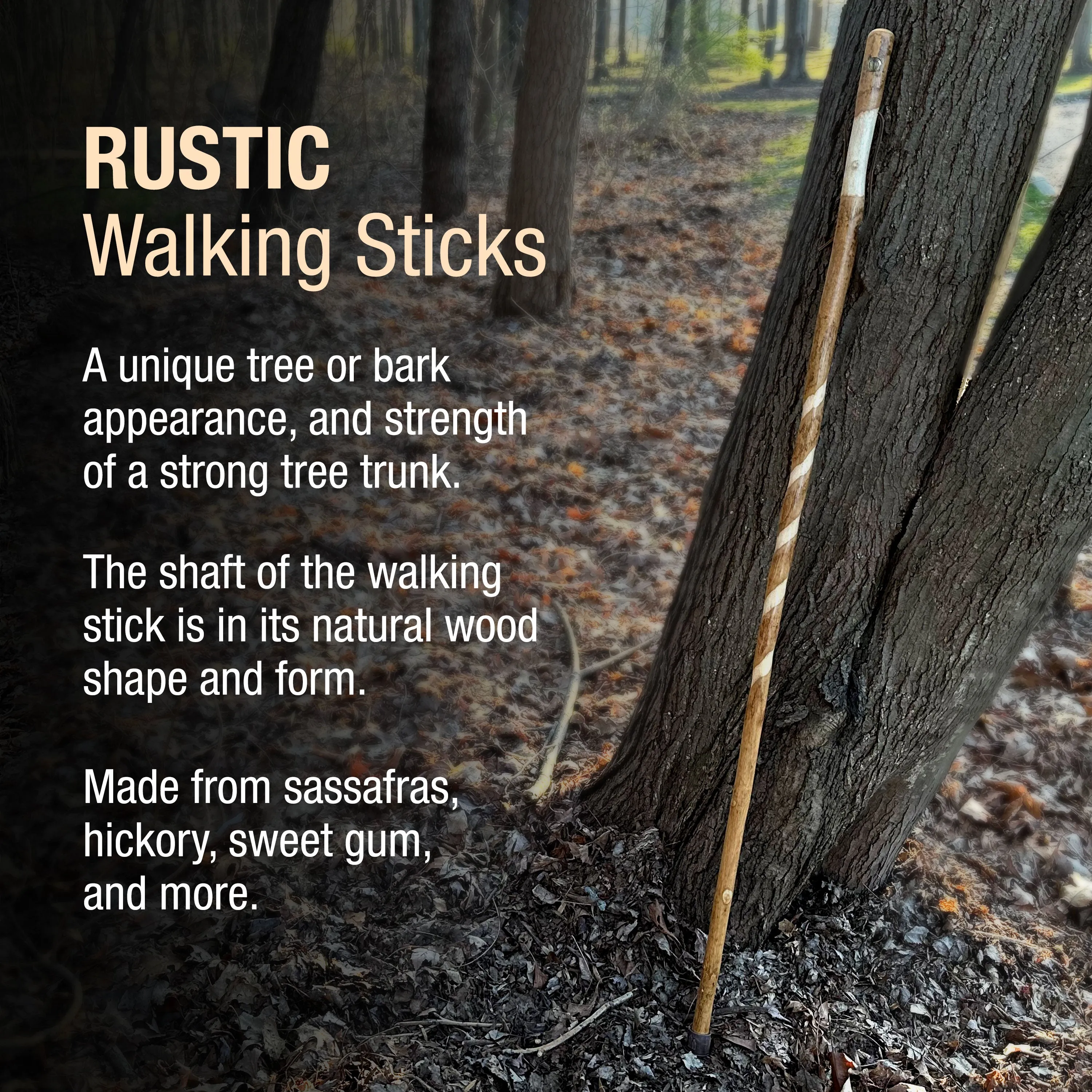 Twisted Assorted Hardwood Rustic Walking Stick 55"