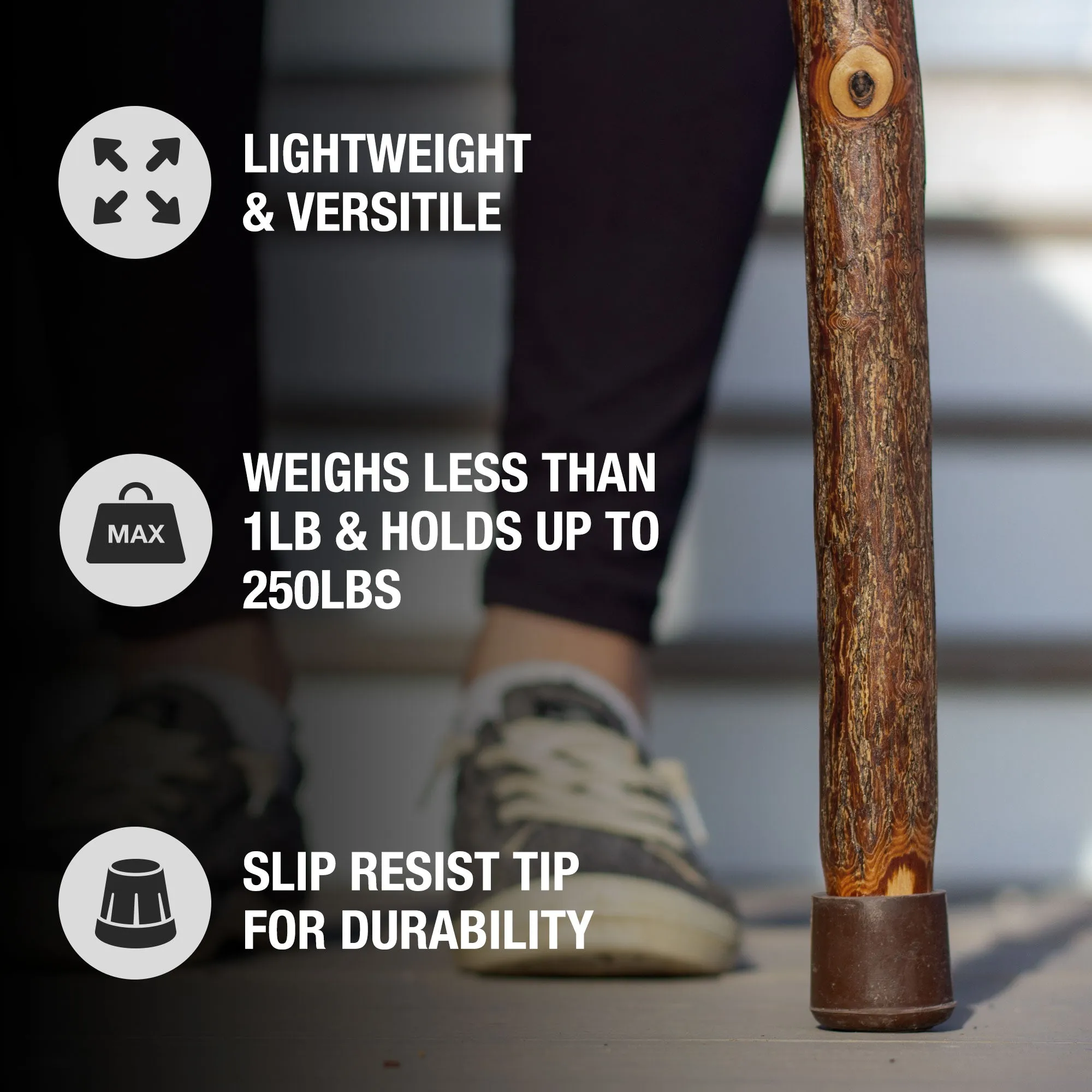 Twisted Sassafras Traditional Rustic Walking Cane 37"
